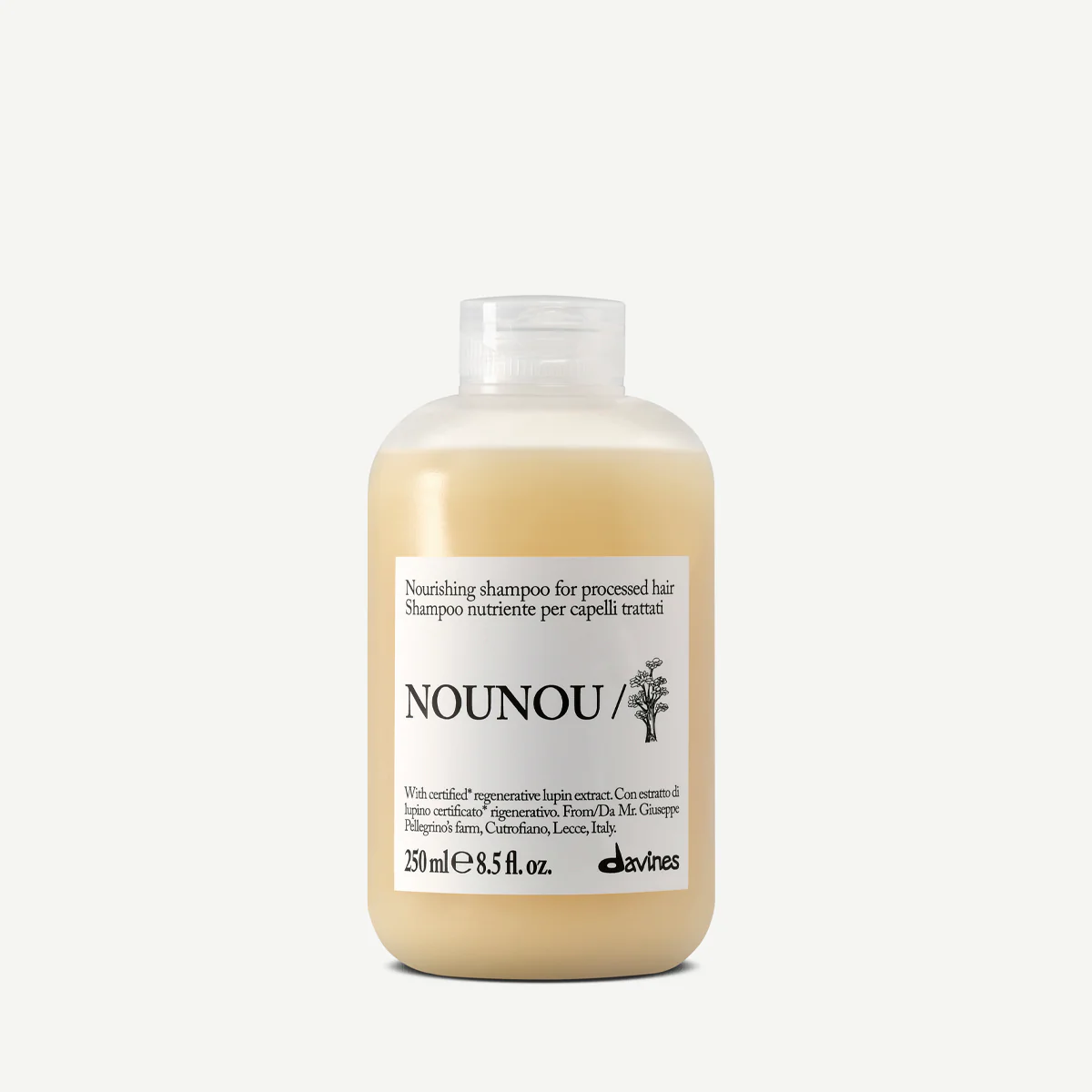 Essentiels de l'Automne